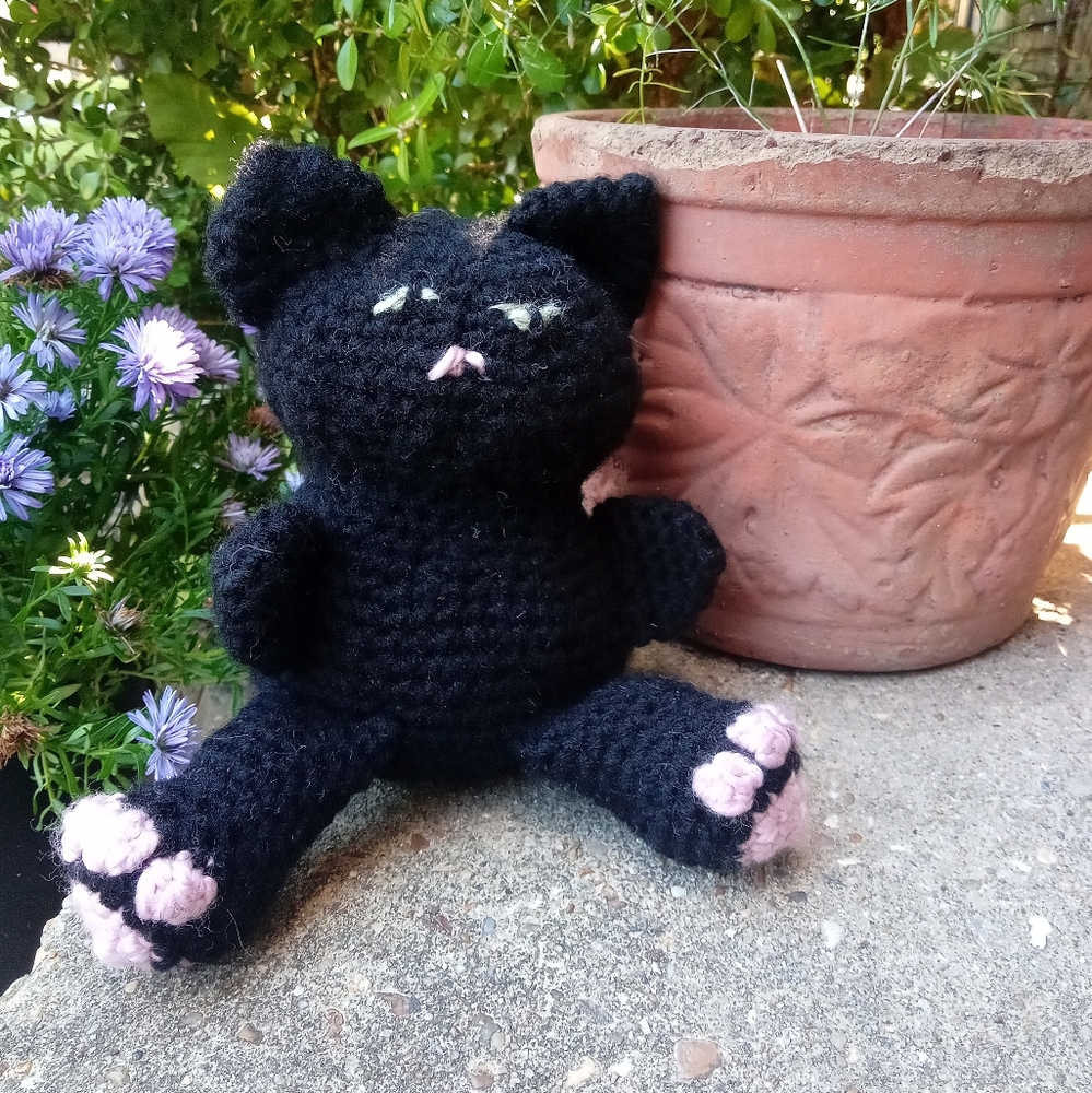 Black cat